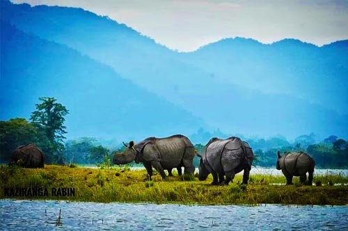 meghalaya kaziranga tour