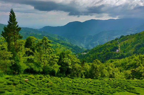 sikkim darjeeling mirik gangtok tour